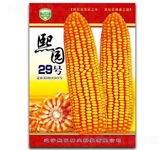 ���@29̖-���׷N��-���@�N�I(y��)