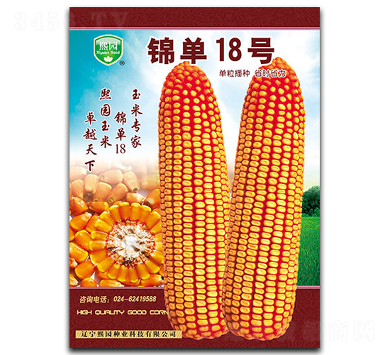 �\��18̖-���׷N��-���@�N�I(y��)