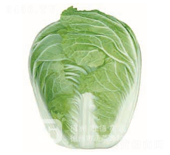 �İ�1̖-��ײ˷N��-�¸�