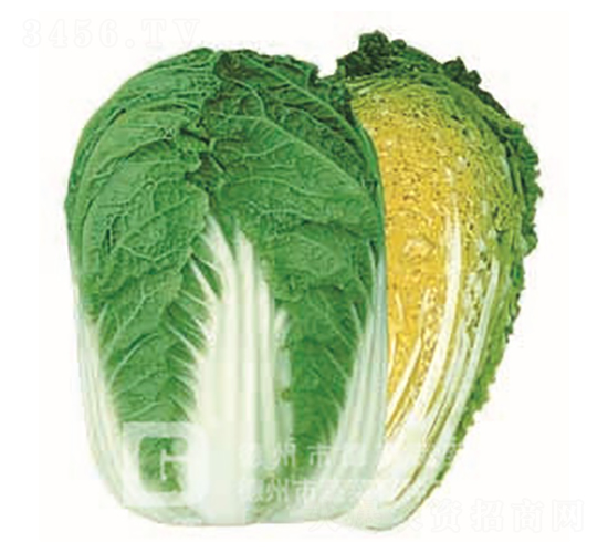 ����69-��ײ˷N��-�¸�