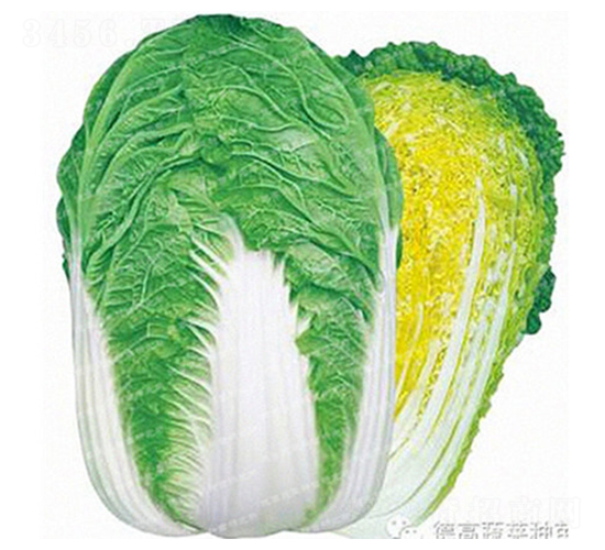 �r��27-��ײ˷N��-�¸�