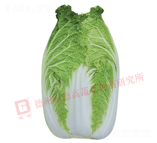 �����[���ײ�-CR1006-��ײ˷N��-�¸�