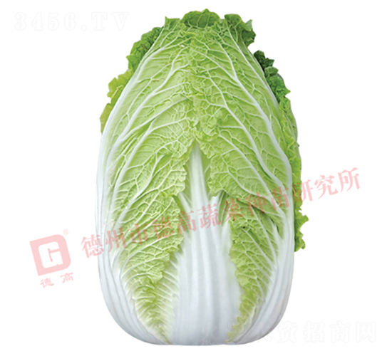 �����[���ײ�-CR141-��ײ˷N��-�¸�