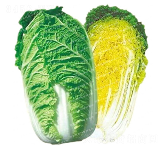 �����[���ײ�-CR69-��ײ˷N��-�¸�