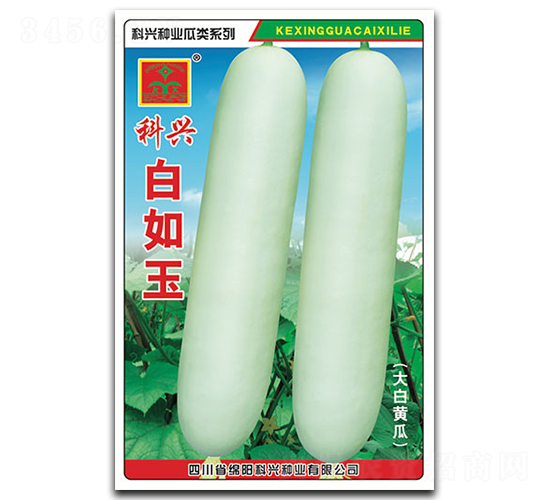 ������-�S�ϷN��-���d�N�I(y��)