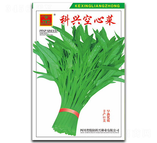 ���d���Ĳ�-�~�˷N��-���d�N�I(y��)