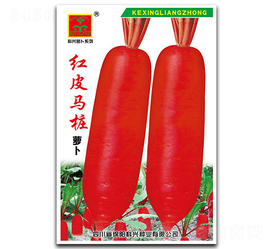 �tƤ�R��-�}���N��-���d�N�I(y��)