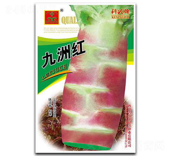 ���޼t�n�S-�n�S�N��-���d�N�I(y��)