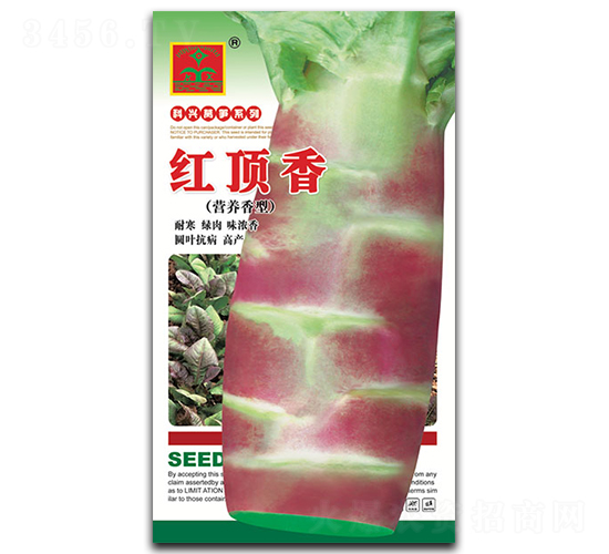 �t���-�n�S�N��-���d�N�I(y��)