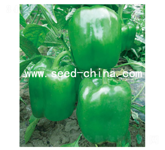 ���109-�����N��-���·N�I(y��)