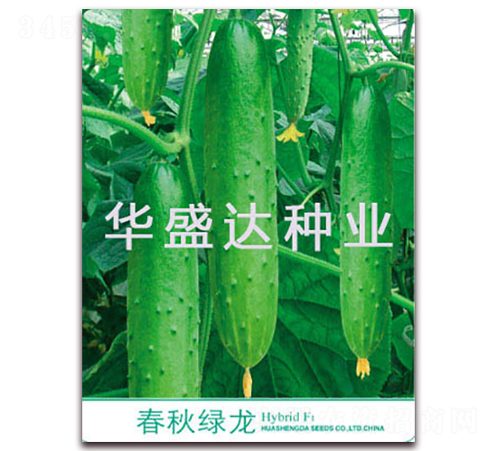 ����G��-�S�ϷN��-�Aʢ�_