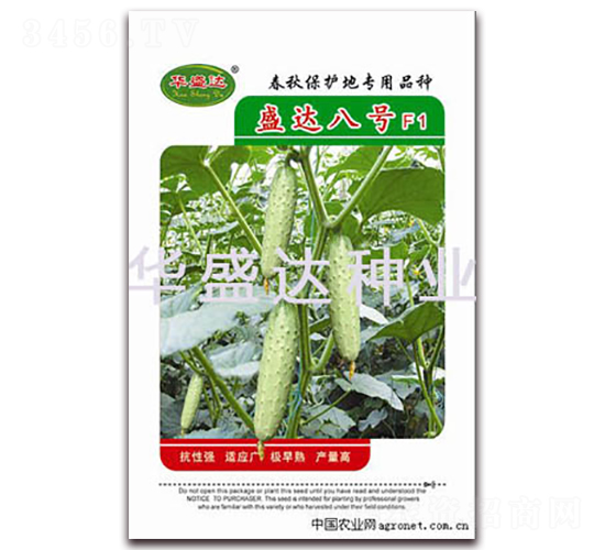 ʢ�_(d��)��̖(h��o)F1-�S�ϷN��-�Aʢ�_(d��)