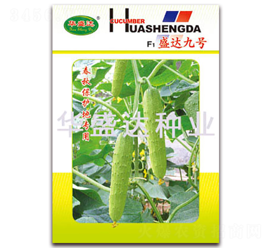 F1ʢ�_��̖-�S�ϷN��-�Aʢ�_