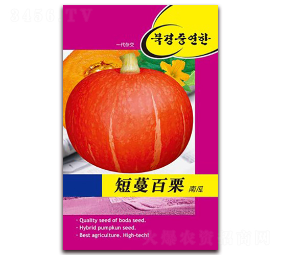 ���������Ϲ�-�ϹϷN��-�β���