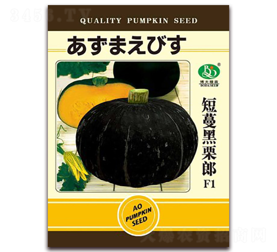 ����������-�ϹϷN��-�β���