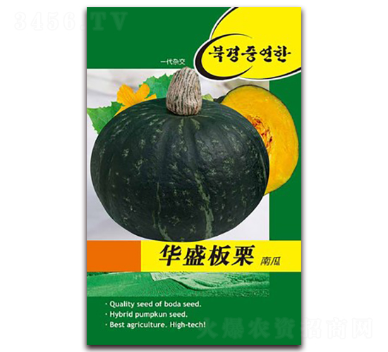 �Aʢ�����Ϲ�-�ϹϷN��-�β���