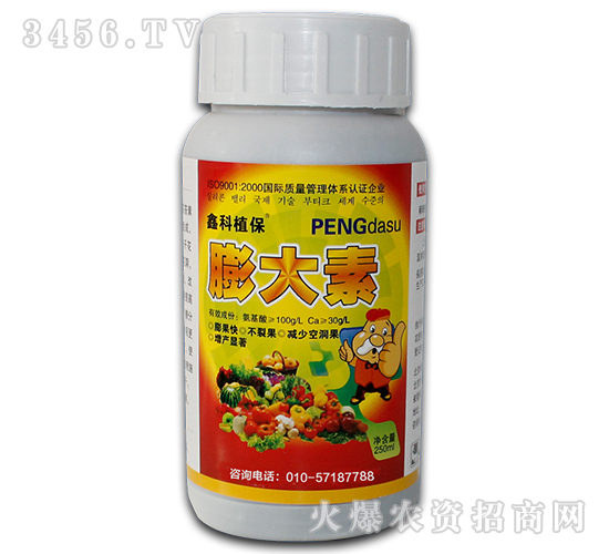 �����-������˹