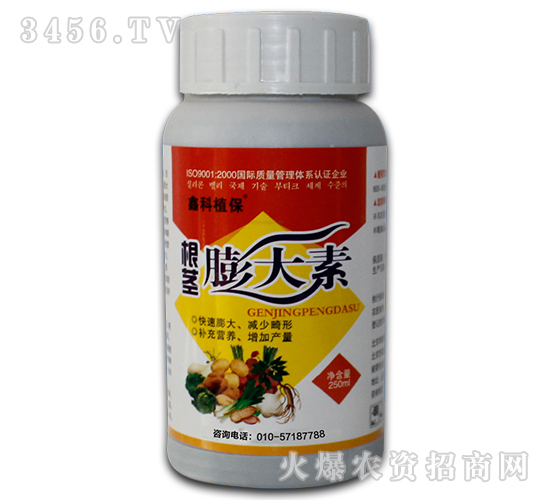 ���o�����-������˹