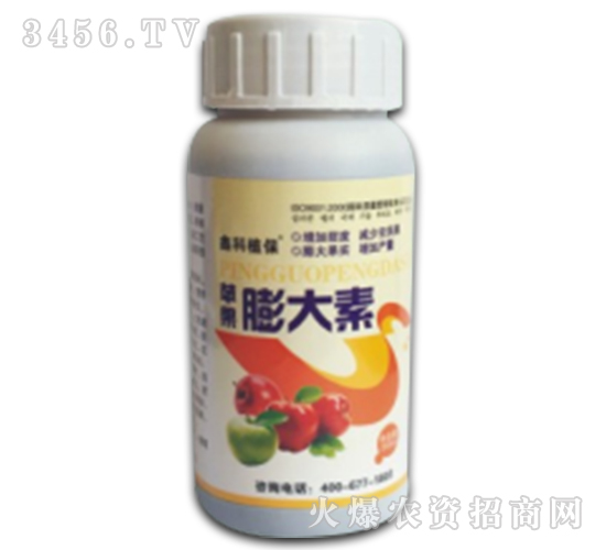 �O�������-������˹