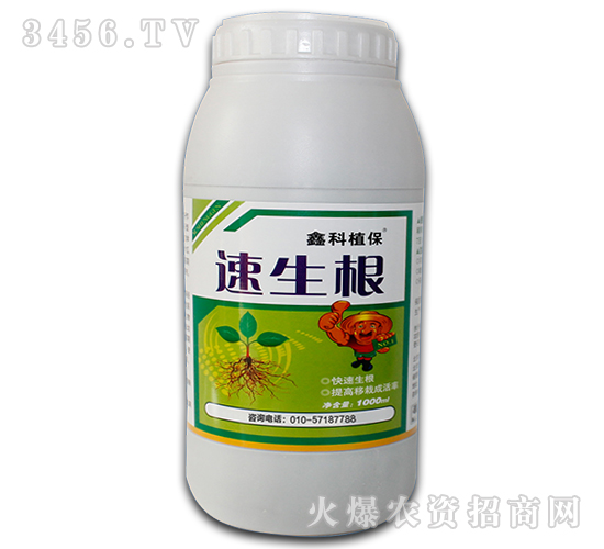 ������-������˹