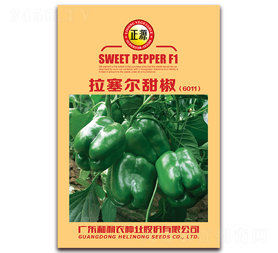 �������𽷣�6011��-�����N��-�����r(n��ng)