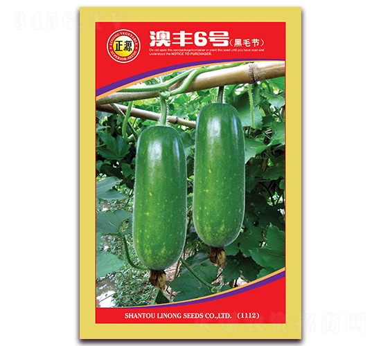 ���S6̖-��(ji��)�ϷN��-�����r(n��ng)