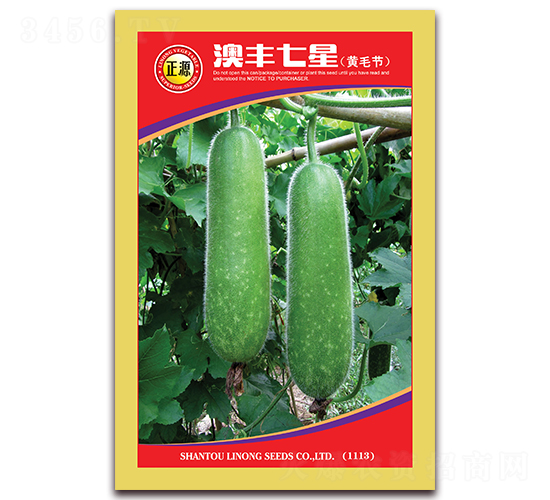 ���S���ǹ�(ji��)��-��(ji��)�ϷN��-�����r(n��ng)