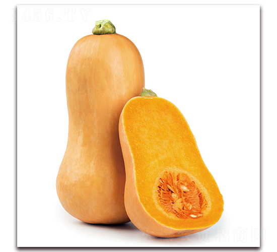 �����r(n��ng)�����Ϲϣ�1249��-�ϹϷN��-�����r(n��ng)