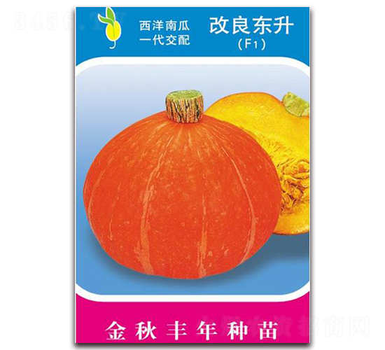 �����|��-�ϹϷN��-�����S��