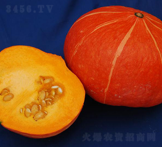 �t��4̖-�ϹϷN��-�����S��