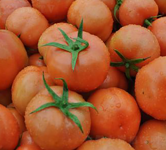 ��ӯ��̖-���ѷN��-�����S��