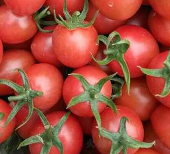 Сؐ-���ѷN��-�����S��