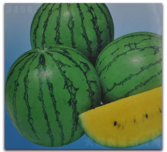 ���m-���ϷN��-�����S��