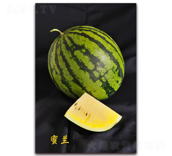 ���m-���ϷN��-�����S��