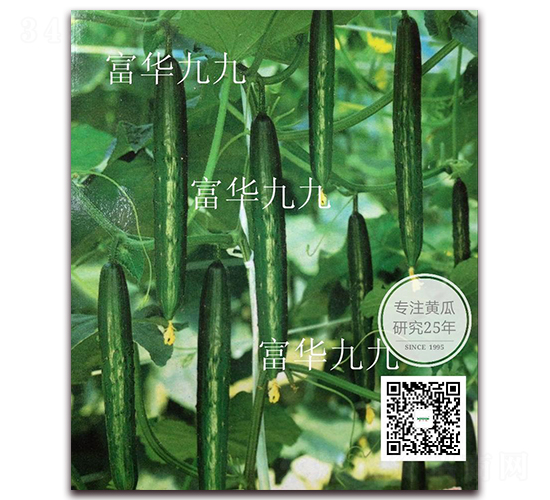 ���A�ž�-�S�ϷN��-�¸ɾ�