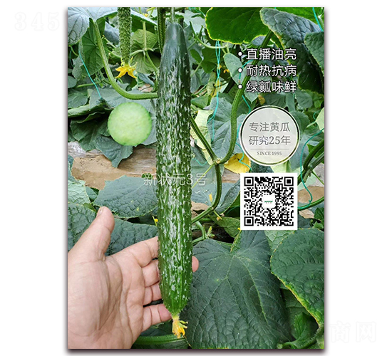 ��?t��ng)��?̖(h��o)-�ܴ��S�ϷN��-�¸ɾ�