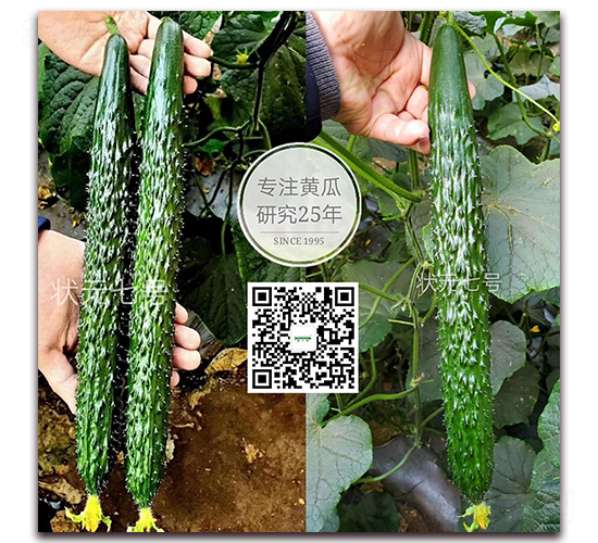 ��Ԫ7̖-�ܴ��S�ϷN��-�¸ɾ�