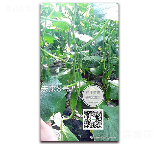 δ����̖-�S�ϷN��-�¸ɾ�