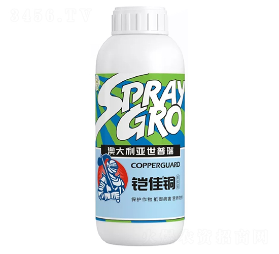 �z���~���z�w�~��-������