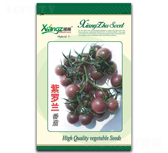 ���_�m����-���ѷN��-���߷N�I(y��)