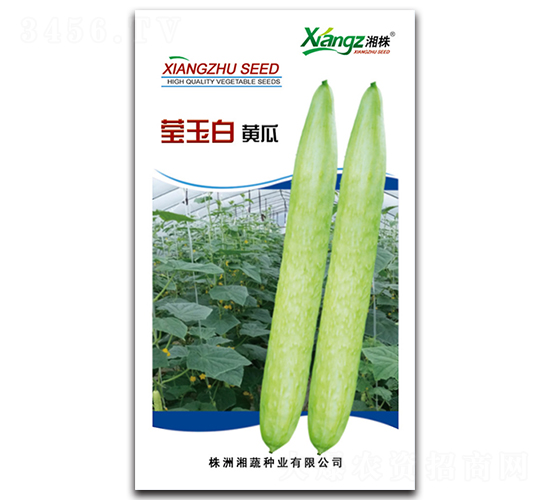 �����-�S�ϷN��-���߷N�I(y��)