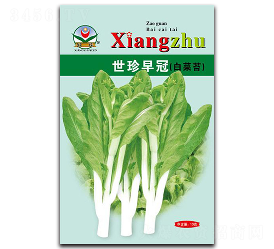 �������-��̦�N��-���߷N�I(y��)