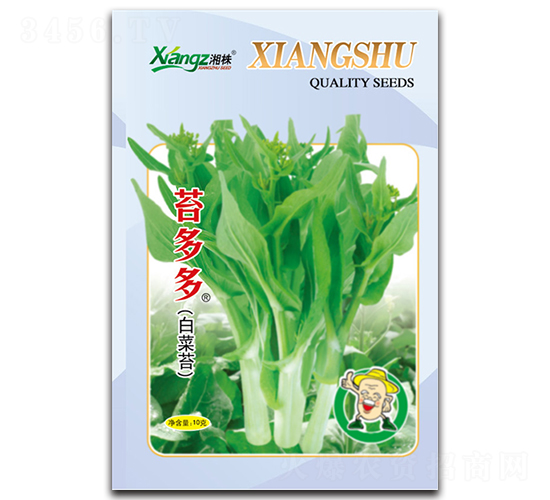 ̦���-��̦�N��-���߷N�I(y��)