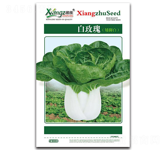 ��õ��-��˷N��-���߷N�I(y��)