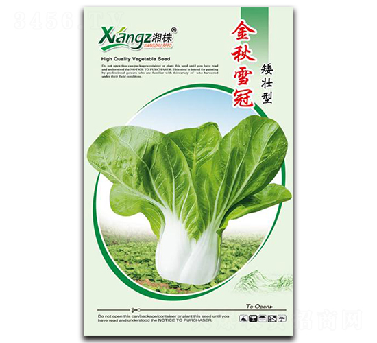 ����ѩ��-��˷N��-���߷N�I(y��)