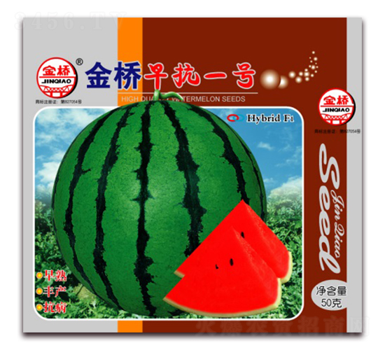 ����翹һ̖-���ϷN��-���N�I(y��)