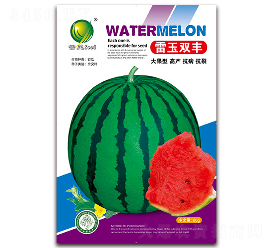 �����p�S-���ϷN��-����N�I(y��)