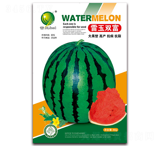 �����p��-���ϷN��-����N�I(y��)