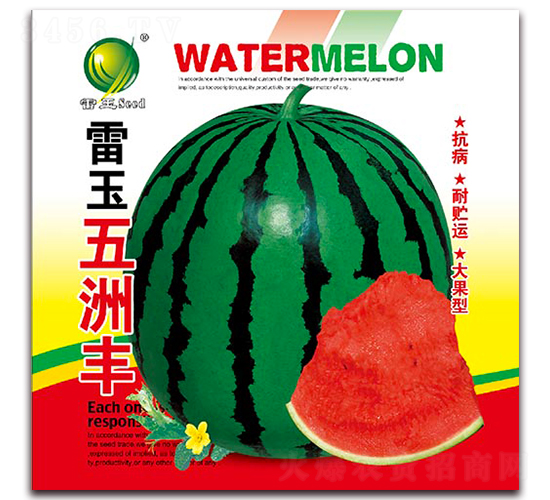 ���������S-���ϷN��-����N�I(y��)