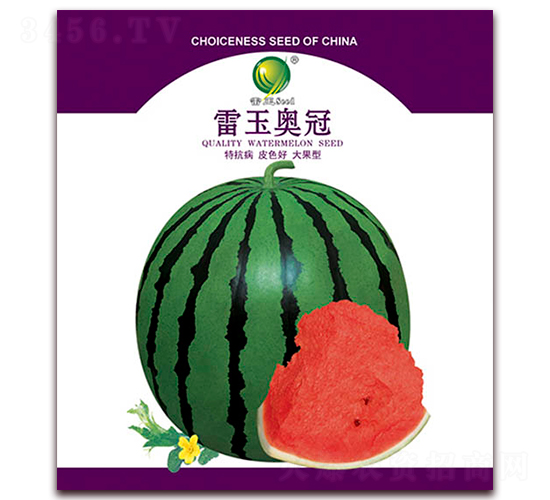 ����W��-���ϷN��-����N�I(y��)